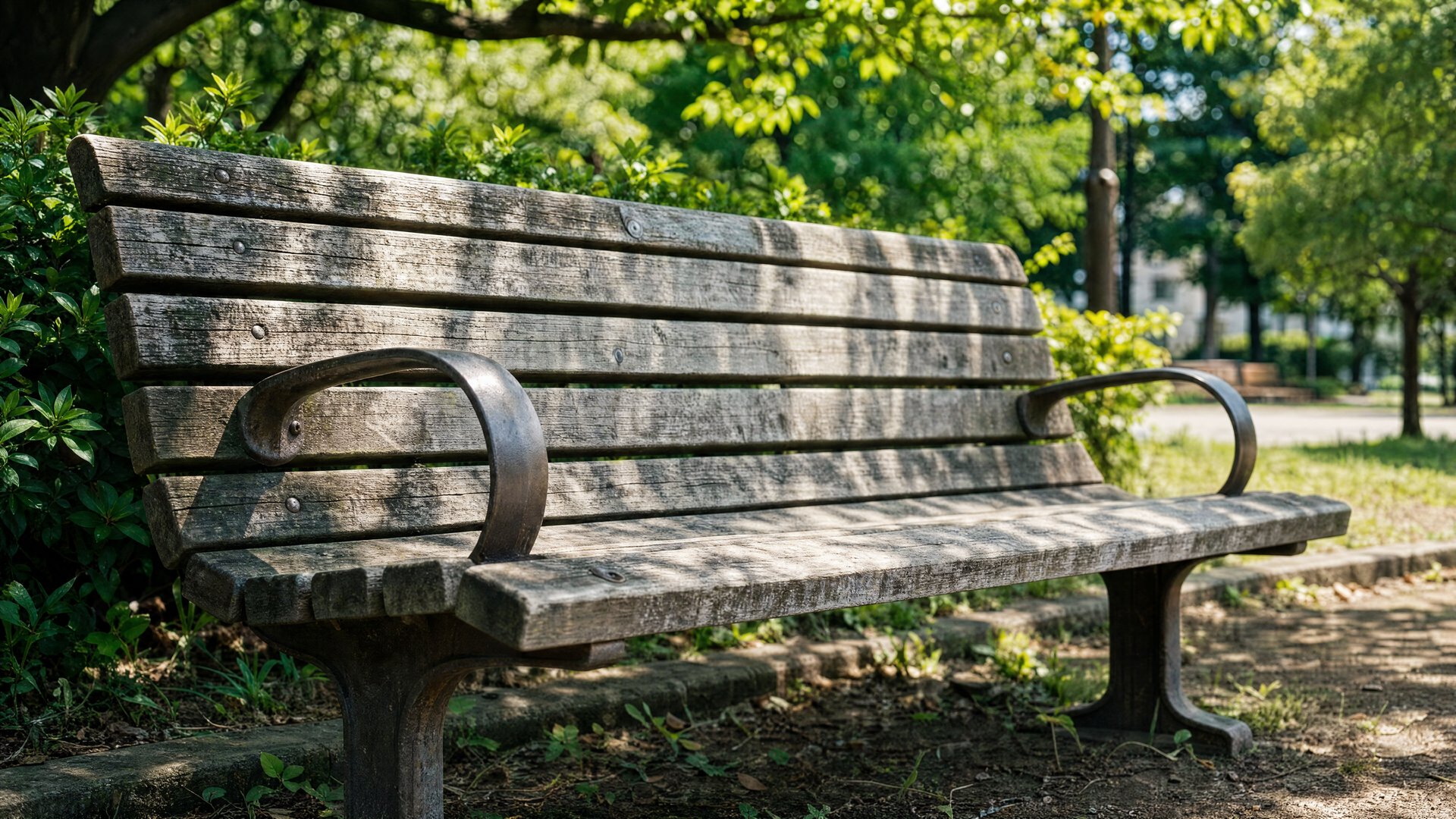 Weathered wooden park bench among green trees